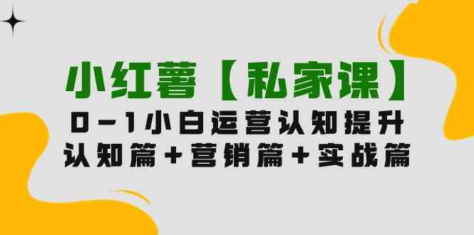 （9910期）小红薯【私家课】0-1玩赚小红书内容营销，认知篇+营销篇+实战篇（11节课）-源码网